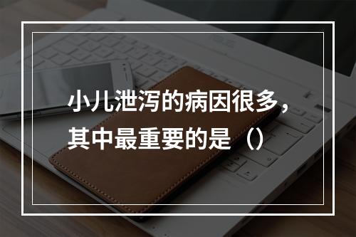 小儿泄泻的病因很多，其中最重要的是（）