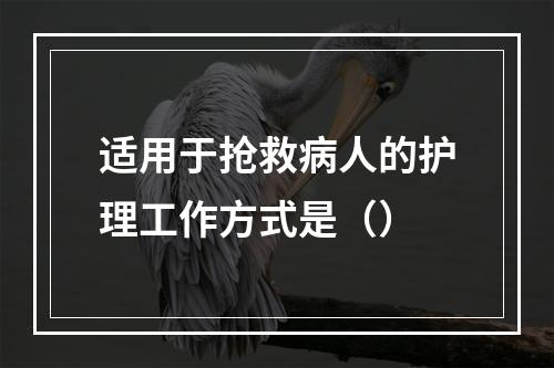 适用于抢救病人的护理工作方式是（）