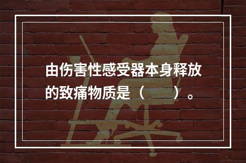 由伤害性感受器本身释放的致痛物质是（　　）。