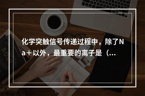 化学突触信号传递过程中，除了Na＋以外，最重要的离子是（　　