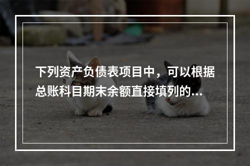 下列资产负债表项目中，可以根据总账科目期末余额直接填列的是（