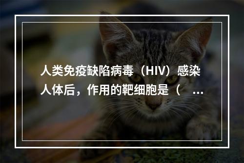 人类免疫缺陷病毒（HIV）感染人体后，作用的靶细胞是（　　