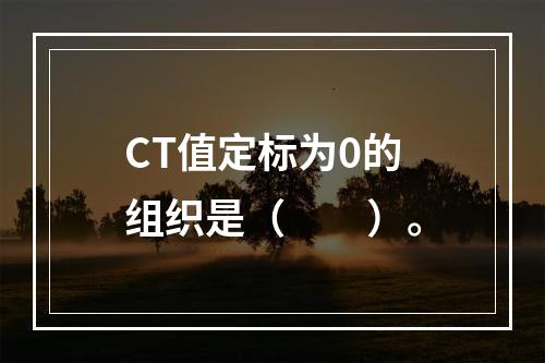 CT值定标为0的组织是（　　）。