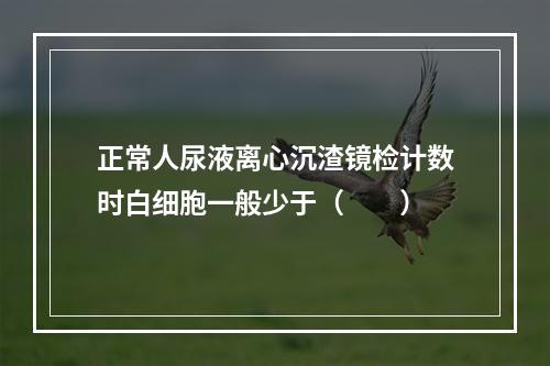 正常人尿液离心沉渣镜检计数时白细胞一般少于（　　）