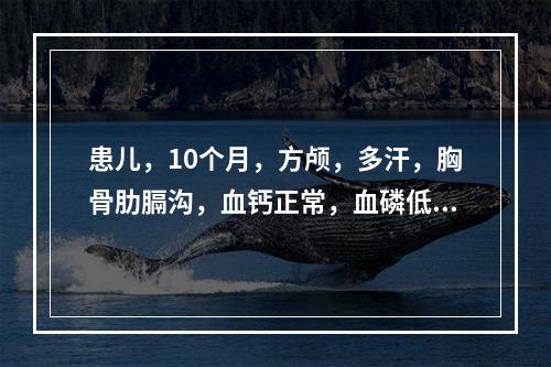 患儿，10个月，方颅，多汗，胸骨肋膈沟，血钙正常，血磷低，