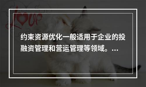 约束资源优化一般适用于企业的投融资管理和营运管理等领域。（　