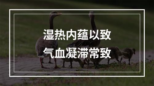 湿热内蕴以致气血凝滞常致