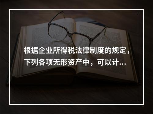 根据企业所得税法律制度的规定，下列各项无形资产中，可以计算摊