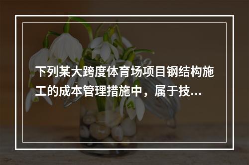 下列某大跨度体育场项目钢结构施工的成本管理措施中，属于技术措