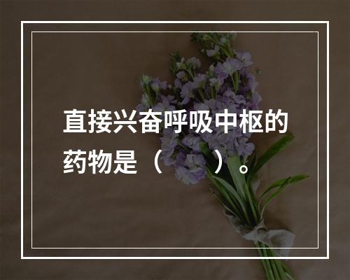 直接兴奋呼吸中枢的药物是（　　）。