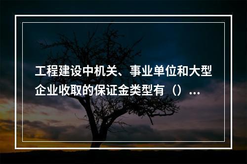 工程建设中机关、事业单位和大型企业收取的保证金类型有（）。