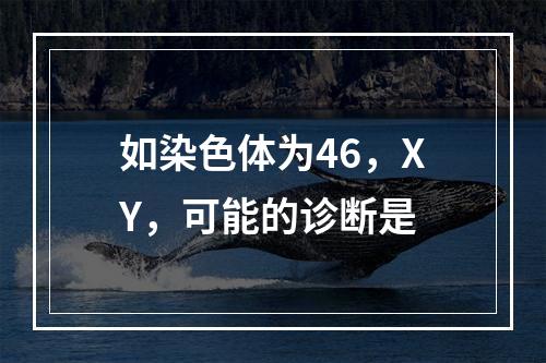 如染色体为46，XY，可能的诊断是