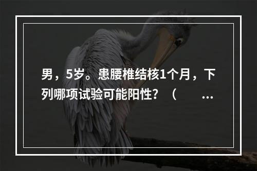 男，5岁。患腰椎结核1个月，下列哪项试验可能阳性？（　　）