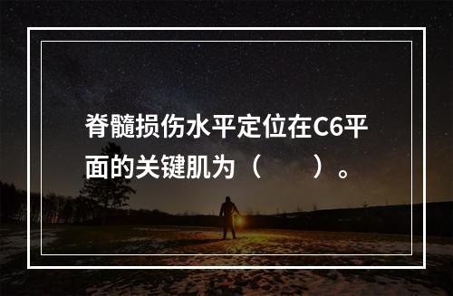 脊髓损伤水平定位在C6平面的关键肌为（　　）。