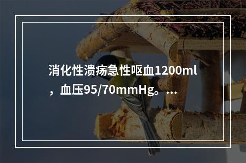 消化性溃疡急性呕血1200ml，血压95/70mmHg。属哪