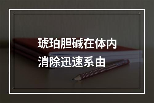 琥珀胆碱在体内消除迅速系由