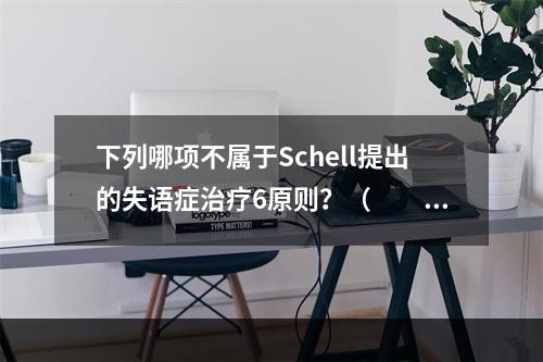 下列哪项不属于Schell提出的失语症治疗6原则？（　　）