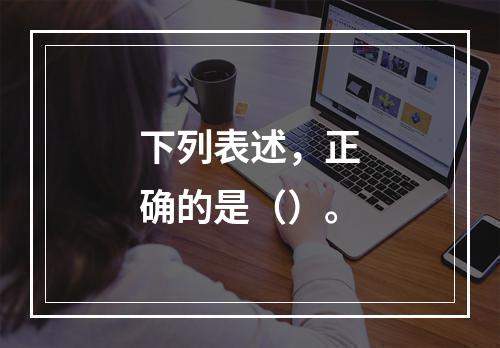 下列表述，正确的是（）。