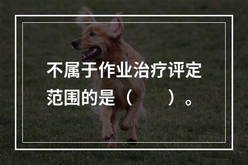 不属于作业治疗评定范围的是（　　）。