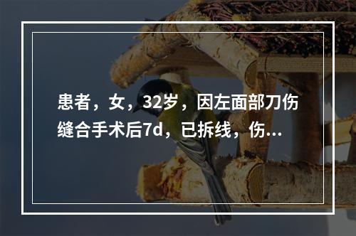 患者，女，32岁，因左面部刀伤缝合手术后7d，已拆线，伤口