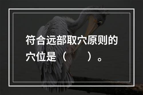 符合远部取穴原则的穴位是（　　）。