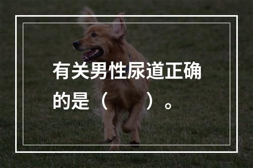 有关男性尿道正确的是（　　）。