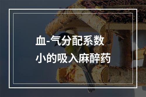 血-气分配系数小的吸入麻醉药