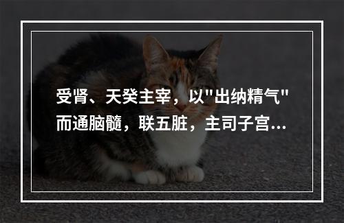 受肾、天癸主宰，以