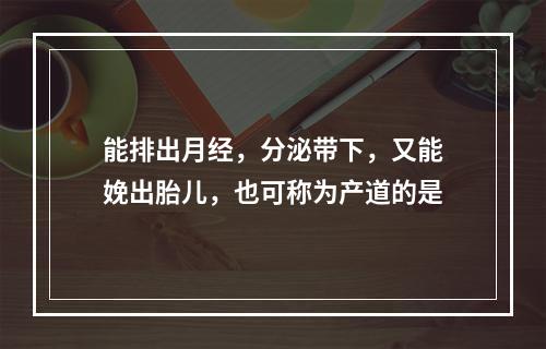 能排出月经，分泌带下，又能娩出胎儿，也可称为产道的是