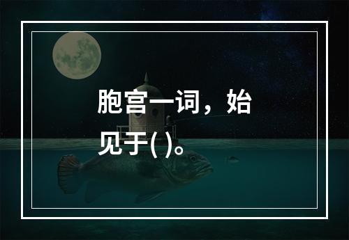 胞宫一词，始见于( )。