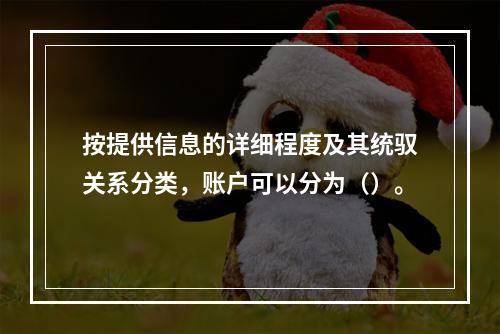 按提供信息的详细程度及其统驭关系分类，账户可以分为（）。