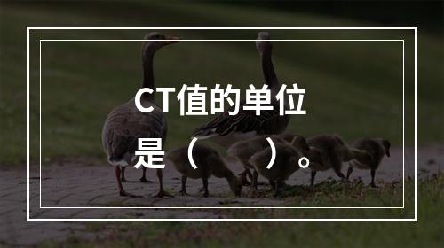 CT值的单位是（　　）。