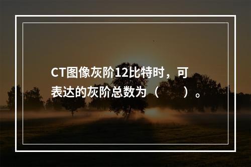 CT图像灰阶12比特时，可表达的灰阶总数为（　　）。