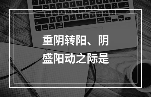 重阴转阳、阴盛阳动之际是