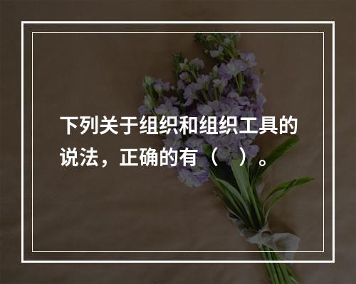 下列关于组织和组织工具的说法，正确的有（　）。