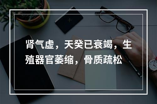 肾气虚，天癸已衰竭，生殖器官萎缩，骨质疏松