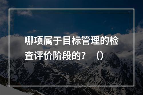 哪项属于目标管理的检査评价阶段的？（）