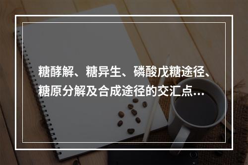 糖酵解、糖异生、磷酸戊糖途径、糖原分解及合成途径的交汇点是