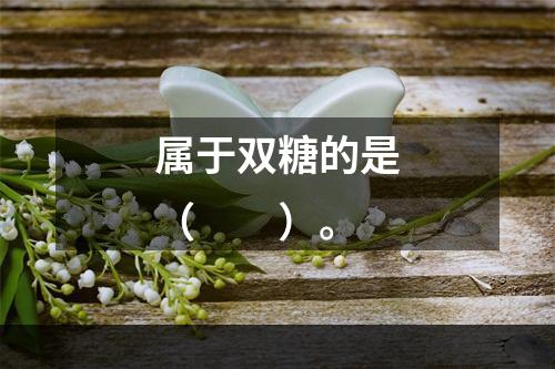 属于双糖的是（　　）。