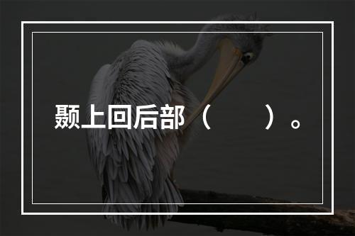 颞上回后部（　　）。