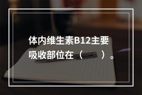 体内维生素B12主要吸收部位在（　　）。