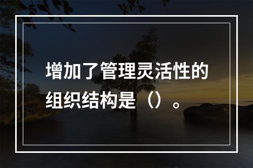 增加了管理灵活性的组织结构是（）。