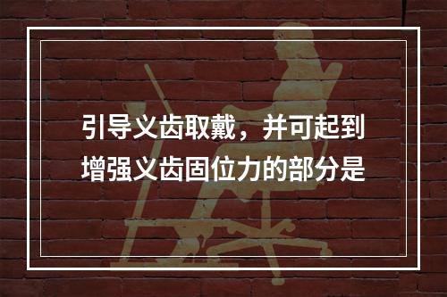 引导义齿取戴，并可起到增强义齿固位力的部分是