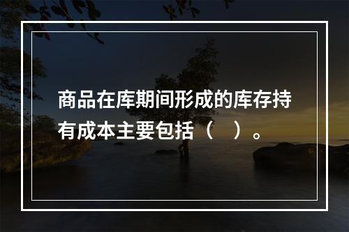 商品在库期间形成的库存持有成本主要包括（　）。