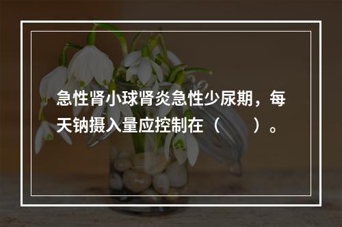 急性肾小球肾炎急性少尿期，每天钠摄入量应控制在（　　）。