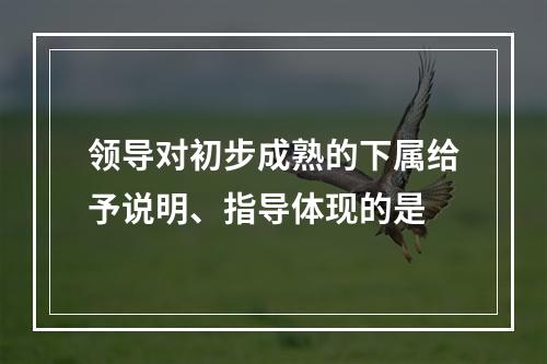 领导对初步成熟的下属给予说明、指导体现的是