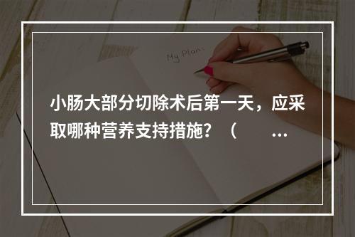 小肠大部分切除术后第一天，应采取哪种营养支持措施？（　　）