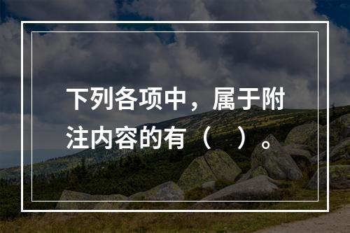 下列各项中，属于附注内容的有（　）。