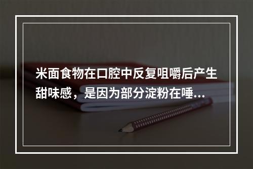 米面食物在口腔中反复咀嚼后产生甜味感，是因为部分淀粉在唾液