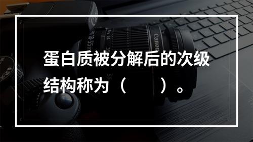 蛋白质被分解后的次级结构称为（　　）。